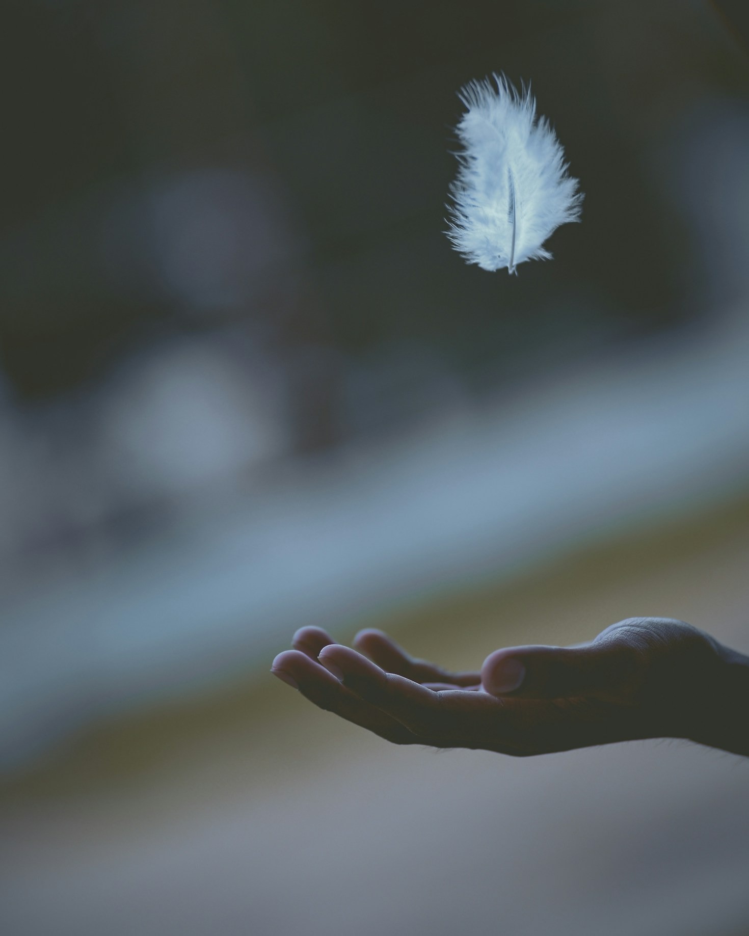 Understanding Life’s Journey Through Intuitive Guidance